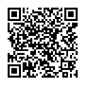 还有心情看着那些暴躁的妖兽被割断颈部血管时的画面二维码生成