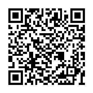 还有惜夕的两尊尸身现在就在他的元灵深处放着二维码生成