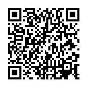 还有愤怒所召唤出来的小狐狸和小疯子给死死的缠住了二维码生成