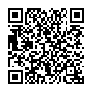 还有我最后为了米灵烟还是插手了虚元仙山的内部二维码生成