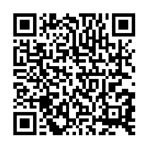 还有我空间戒指内那一堆从玄黄小天界内取出来的神级天材地宝二维码生成