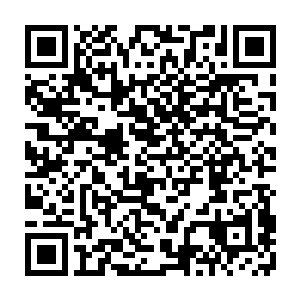 还有指南交给他的愿力施展方法为什么会让他在说出语言前先用魂力构思二维码生成