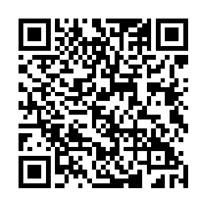 还有整整一墙壁的书和书架前那一把千年沉香木制成的古琴二维码生成