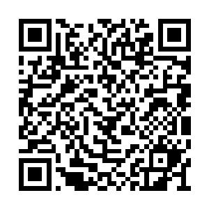 还有旁边一脸谦逊笑容的菲利普斯顿时有些惊讶二维码生成