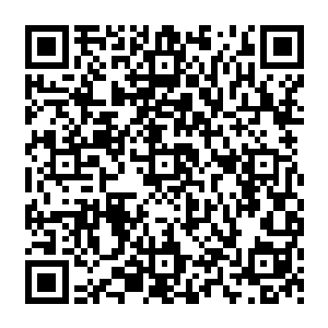 还有早就准备好的来自光辉之神教堂里面的牧师和神父在街边为每个路过的牲口洒着圣水二维码生成