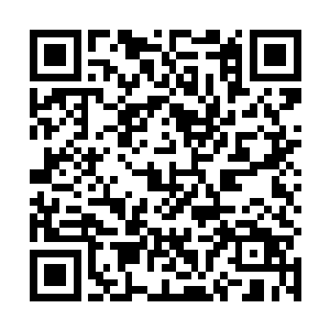 还有更多世家无极境的客卿和援手正在此时赶来寒仙山二维码生成