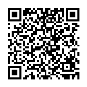 还有更多只是为了好玩和探索这个未知的世界而沉迷其中的人二维码生成
