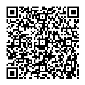 还有更多的其他丧尸其他人类的信息……总不可能一直这样依靠搜掠剩余物资过活二维码生成