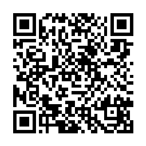 还有最近朱伯伯拍卖的静心丹也是紫烟妹妹研制出来二维码生成