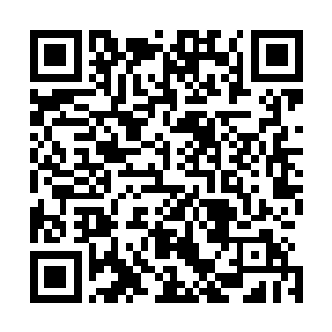 还有李莹家楼下那些准备去抓他和兰兰的人也全都被干掉了二维码生成