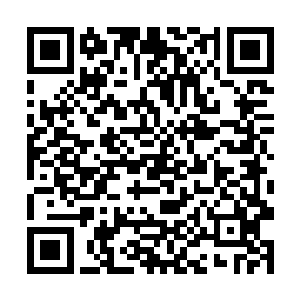 还有楚暮和另外四个修为达到了九段后期的精英弟子二维码生成