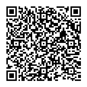 还有深深的遗憾和后悔的……若不是自己当初非要劝着自己这个小师弟来参加五派大比为天外楼获取荣誉的话二维码生成