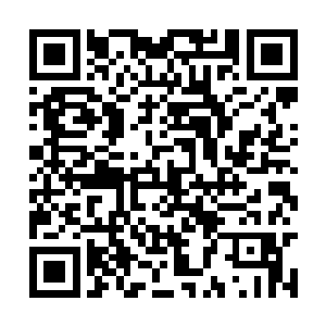 还有琳达她们几个女人一起坐上一辆豪华加长轿车二维码生成