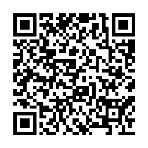 还有璃城里一些大楚的老臣和名门贵族暗中相助二维码生成