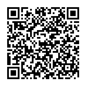 还有的母熊因为不想让自己生下来的小熊过上这样悲惨的生活而将小熊杀死……二维码生成