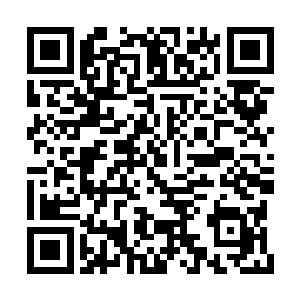 还有眼前这山莫非真就是我巫族圣山不死神山吗二维码生成