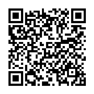 还有着无数的低等级的穿山甲悍不畏死地冲击着大周天剑阵二维码生成