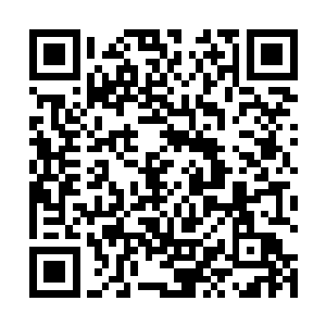 还有紧紧包裹在黑色低胸晚礼服下的身材高挑而又丰满二维码生成