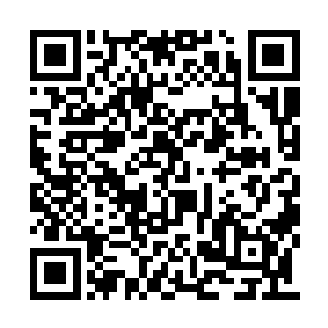 还有老哥他们带到一个更大与更危险的漩涡中去二维码生成