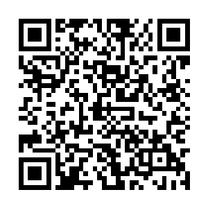 还有自己就是在孔江师叔的丹房里筑基这两件事情二维码生成