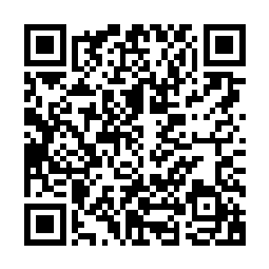 还有血魔宗的护山神兽……这才是真正让秦方忌惮的强横存在二维码生成