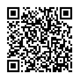 还有被小金蹂躏的那种求生不得求死不能的感受二维码生成