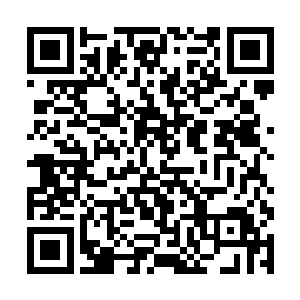 还有跑到北边一年到头回不来两次的四公子和五公子二维码生成