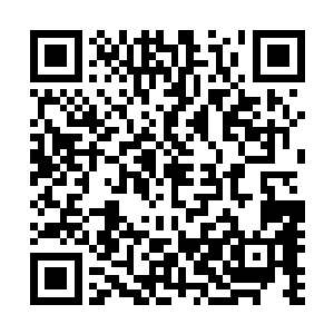 还有踏雪无痕墨角腾云兽这样的恐怖的存在在旁边虎视眈眈二维码生成