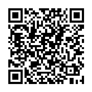 还有这些我从来没有见过的奇怪生物到底是什么东西二维码生成