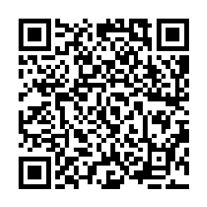 还有邓铮提议拟作为真命小和尚导演的丁树盛俱都眼前一亮二维码生成