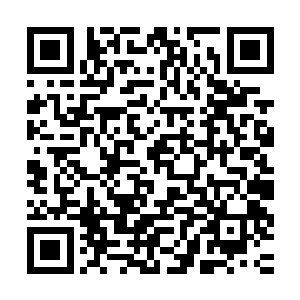 还有那一位资料上显示的极为神秘却一直处处帮助父母的小叔叔二维码生成