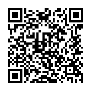还有那一双价值不菲的乌金手套直接收进了乾坤戒中二维码生成