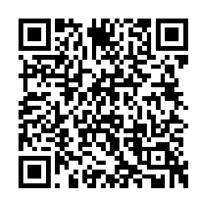 还有那个据说使用后可以让你的骨头变成两倍的二维码生成