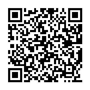 还有那个镇压者楚旬五行虫的黑白大山轰击而去二维码生成