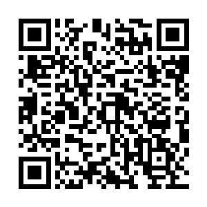 还有那个隐藏在暗中的艾莉莎以及那支拥有强大武技的卫队二维码生成