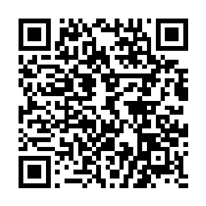 还有那二十八宿大阵和轩辕姑娘斩杀的那机关人龙镶将军二维码生成