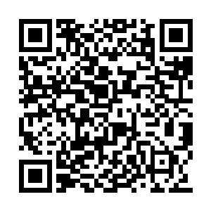 还有那些实力低的人就慢慢的脱离了强者的群体二维码生成