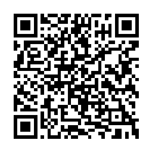 还有那些高手彼此之间一般也都会留下联系方式二维码生成