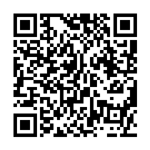 还有那品质等同于无上神丹的魔珠仿制品共同促成的二维码生成