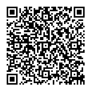 还有那张铁听不懂的同样是大灾变之前就发现的人体中每分每秒都在产生的一种名叫电荷的能量二维码生成