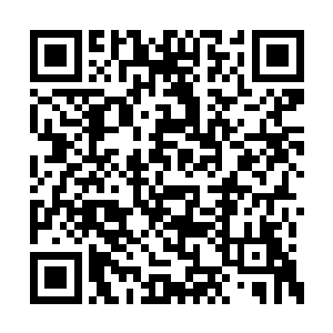 还有那连续不断的会议要考验真神的智慧和经验二维码生成