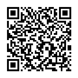 还有那追逐潮湿而生的灰叶大狼梅和肉叶肥厚的皮藁二维码生成