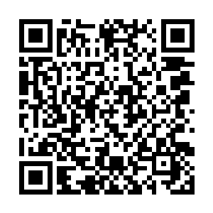 还有那里的元素密度竟然比这里还要浓厚这怎么可能二维码生成