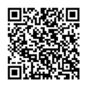 还有那锋利到吓人的爪子……若不是它的身体被禁锢二维码生成