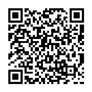 还有那颗花费了监守者大人50万积分才兑换到的秀灵草二维码生成