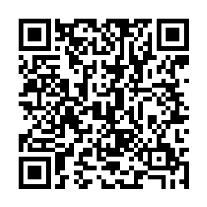 还有邵氏集团的所有股份都由我的前妻晏晨所继承二维码生成