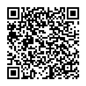 还有露在锁扣外面的手指和脚掌全部都一圈一圈地缠绕在了平车上二维码生成