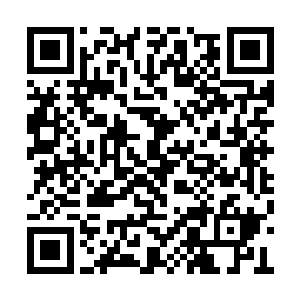 还有青丘一脉可能要放出大巫这两件事的存在了二维码生成