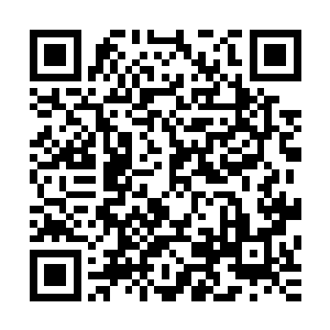 还有风刃什么其它的法术化作无数流萤一样紧随在法器的后边二维码生成