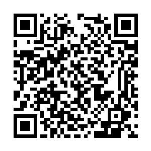 还有骑士酒吧之类的设施也会对二位免费开放……二维码生成